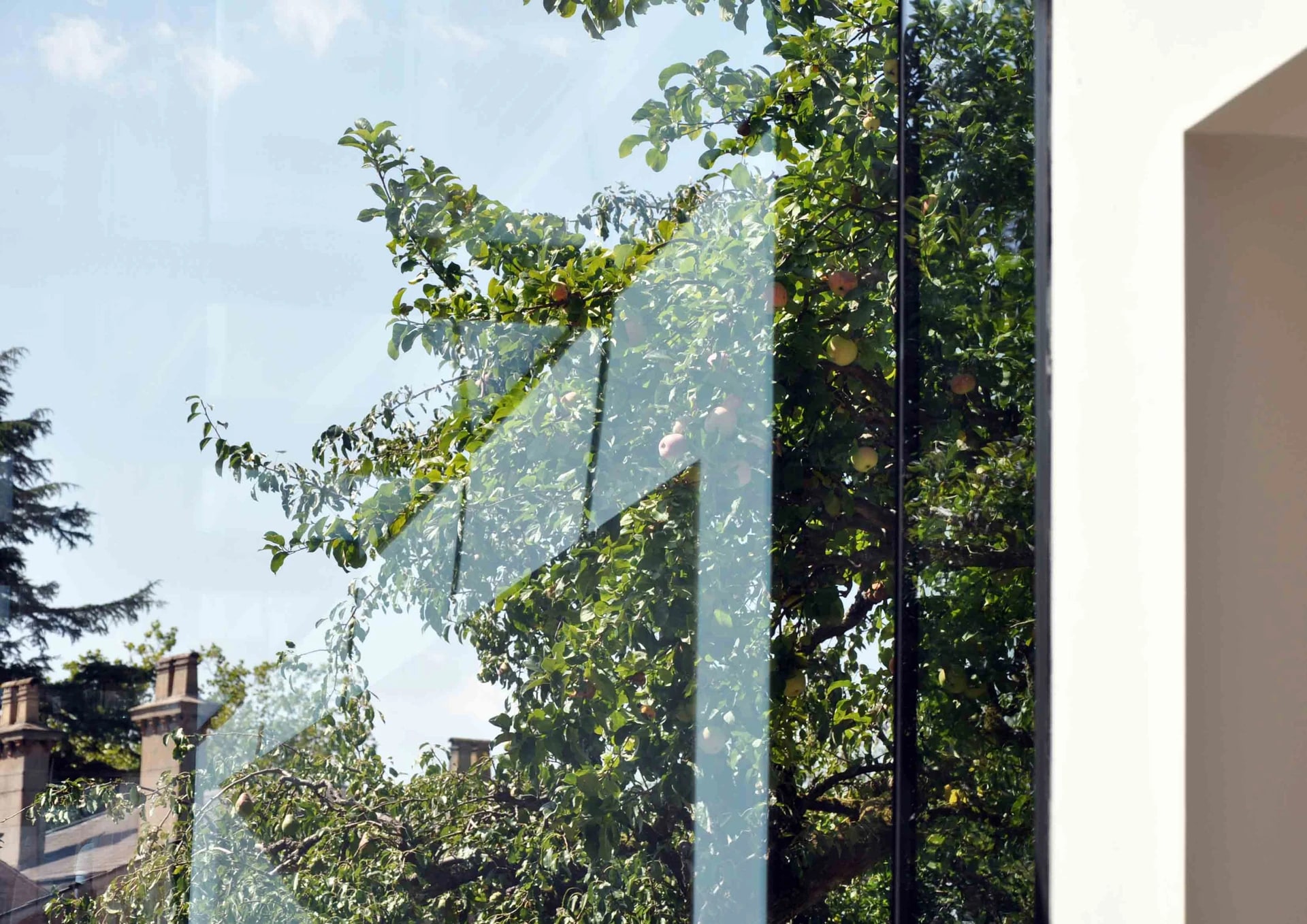 Tree branches and blue sky seen through the glass beside a white interior wall.