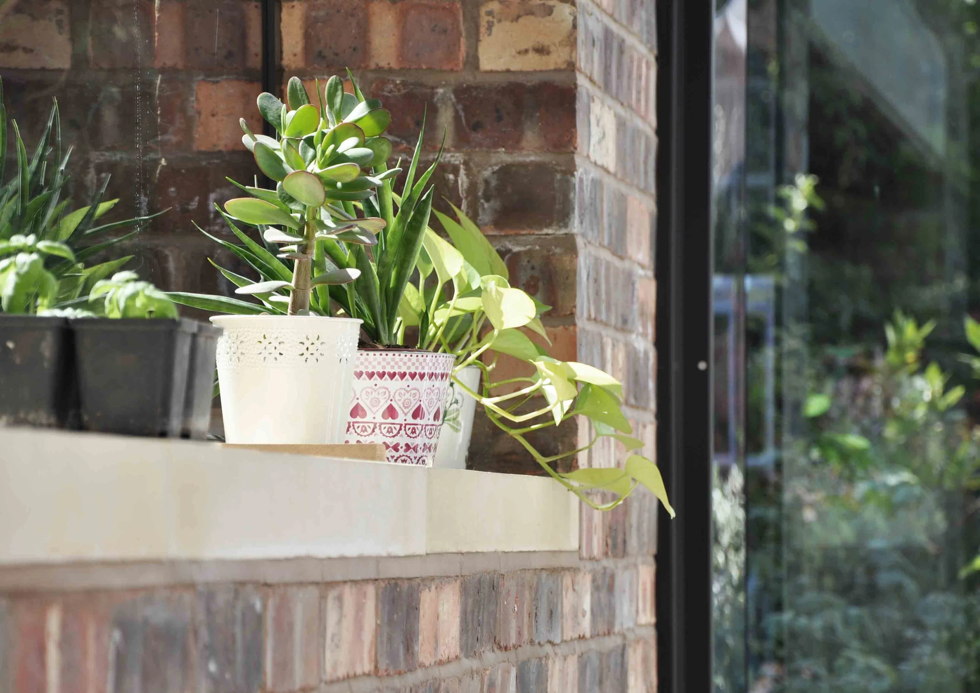 Potted plants on a pale ledge against brickwork beside the glass.